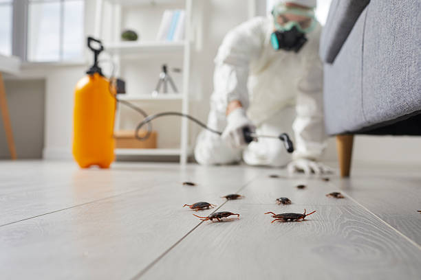 Commercial Rodent Management in Parkville